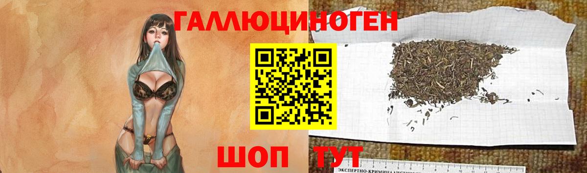 Галлюциногенные грибы мухоморы  Канск 